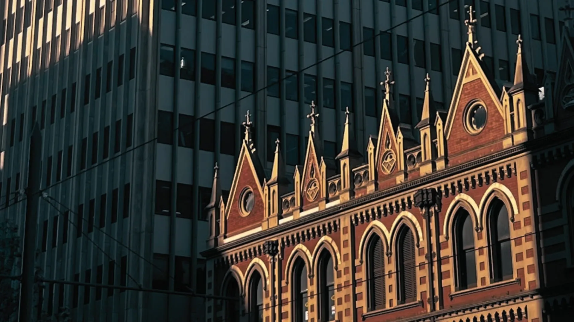 Adelaide conveyancer reviewing a property contract at Trevor White Conveyancers